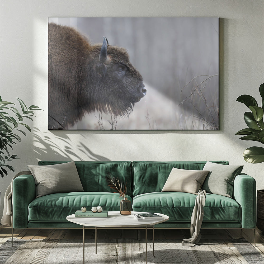 Profil de Bison | Tableaux sur Toile