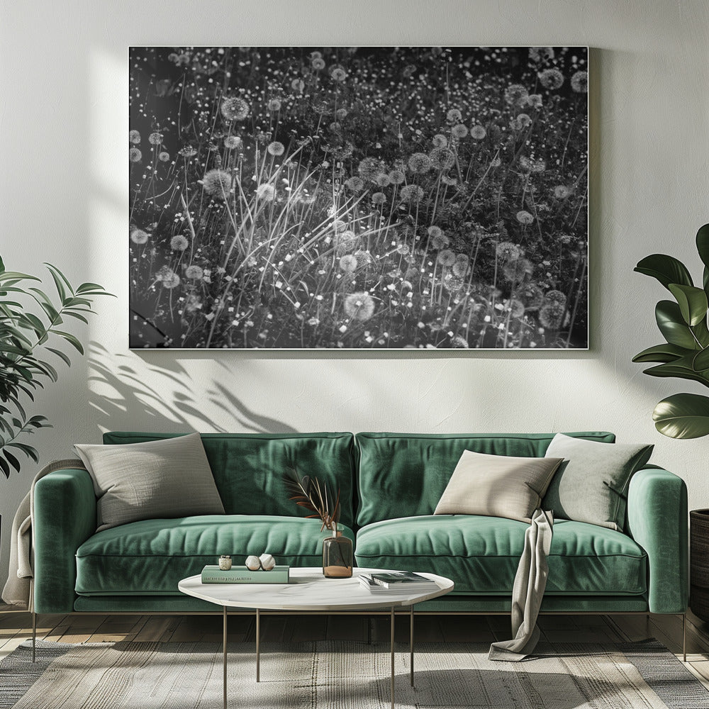 Het paardenbloemenveld | Canvasprints