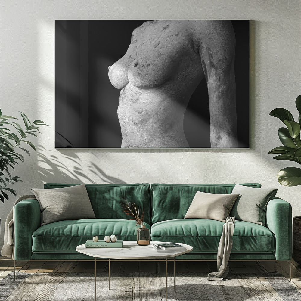 Beauté aberrante | Tableaux sur Toile