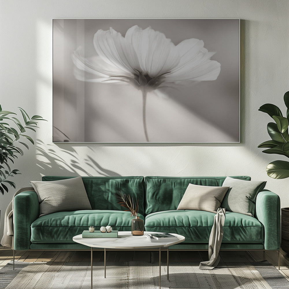 Kosmos | Canvasprints