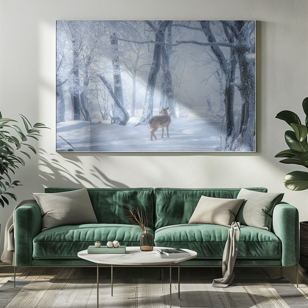 Il cervo Sika nella foresta innevata | Stampe su Tela