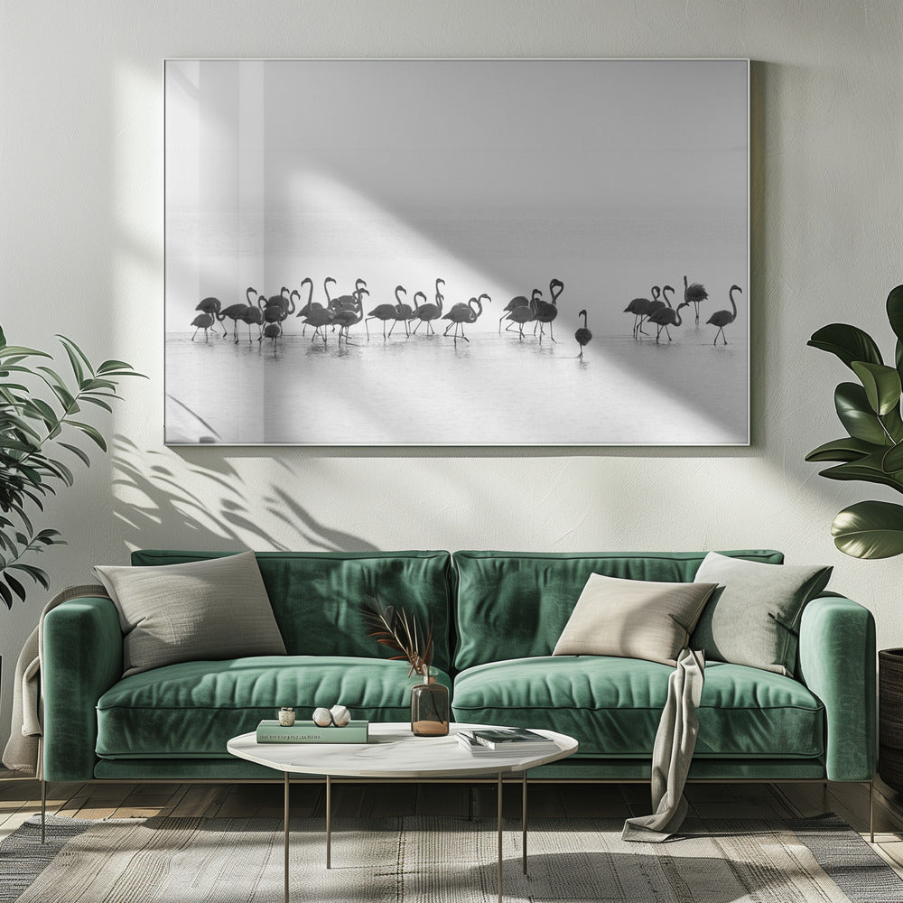Flamingos | Leinwand-Bilder