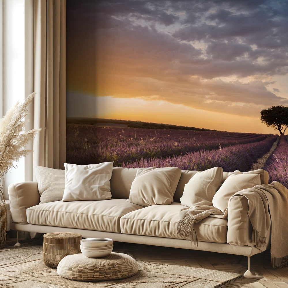 DESTINATION LAVENDEL | Fototapeter