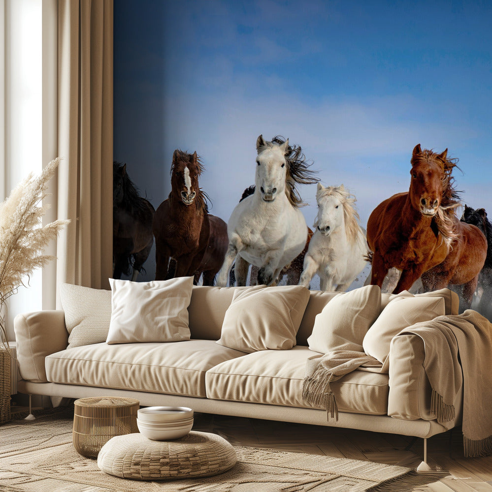 Chevaux de Mongolie | Papier Peint Photo