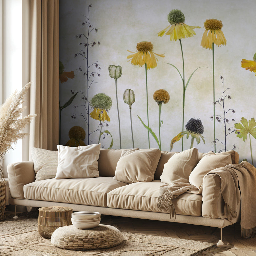 Helenium | Fototapeta