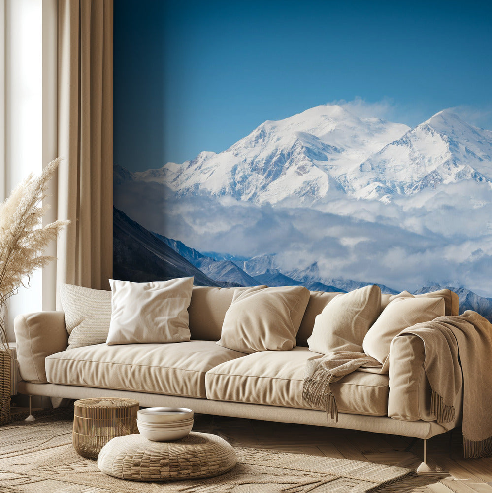Mount Denali - Alaska 20 310 fot | Fototapet