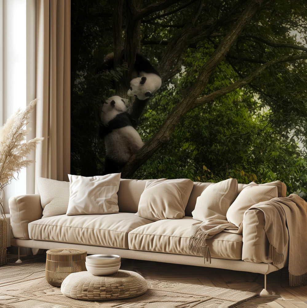 Panda | Valokuvatapetit