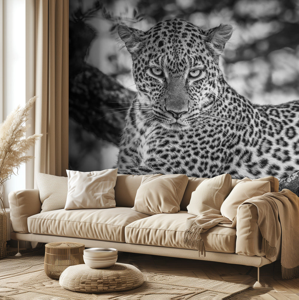 Monochrome schoonheid | Fotobehang