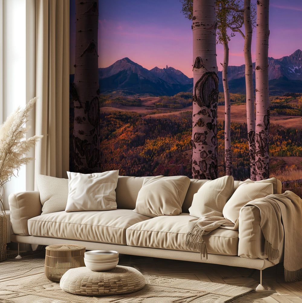 Cadres Aspen | Papier Peint Photo