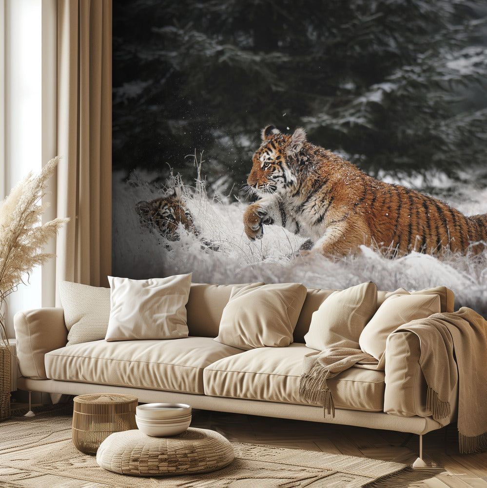 Joy on the snow | Wallpaper