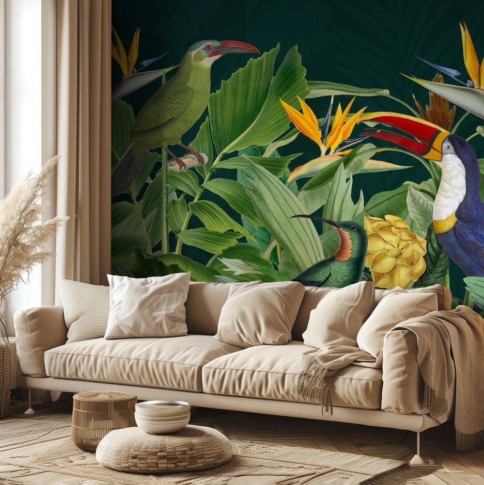 Oiseaux de la forêt tropicale | Papier Peint Photo