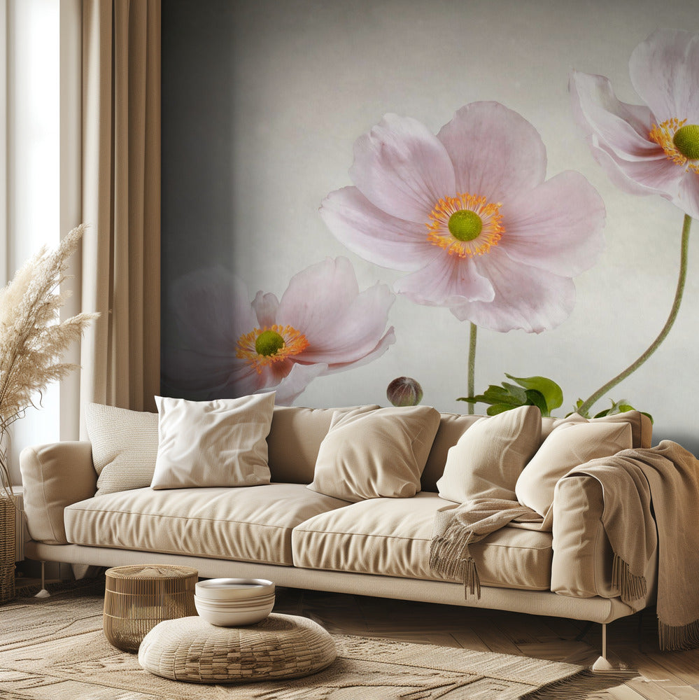 Anemoner | Fototapeter