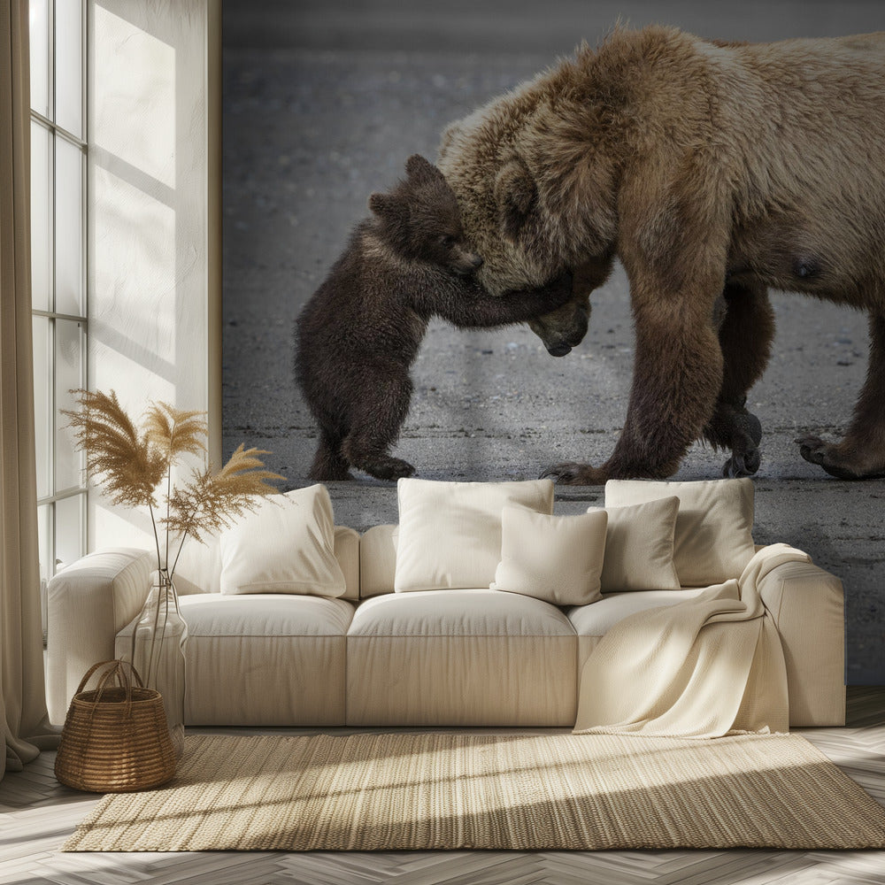 Un piccolo abbraccio d'orso | Carta da Parati Fotografica