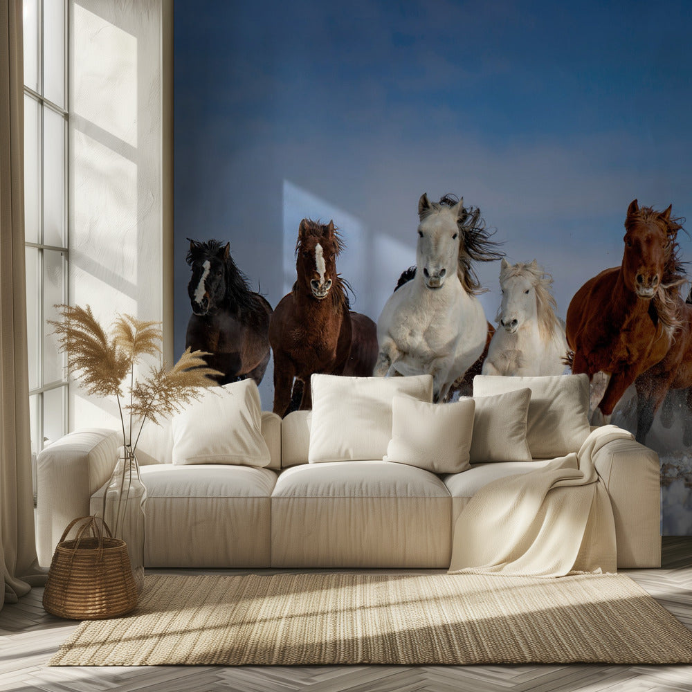 Chevaux de Mongolie | Papier Peint Photo