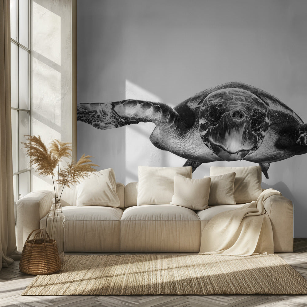 Blanco y tortuga | Papel Pintado Fotográfico