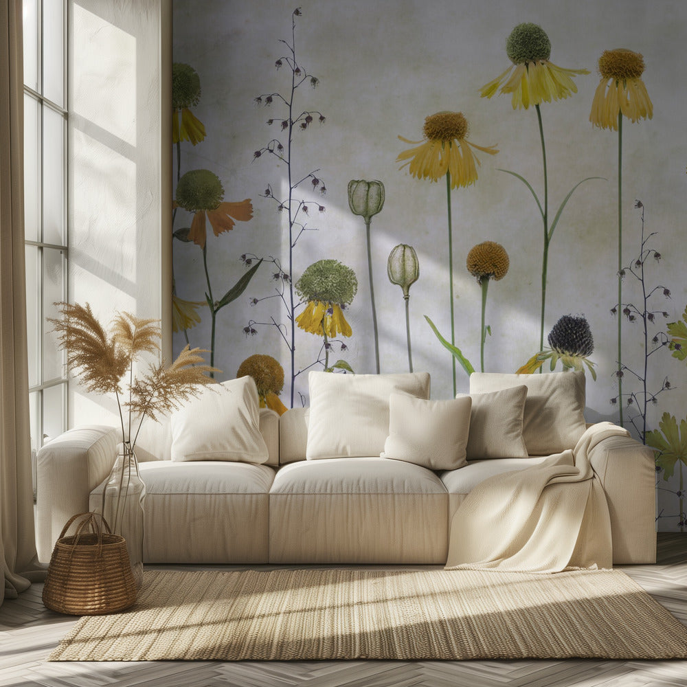 Helenium | Fototapeta