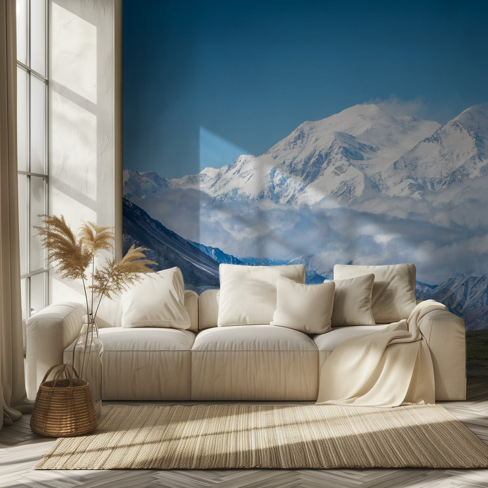 Mount Denali - Alaska 20 310 fot | Fototapet