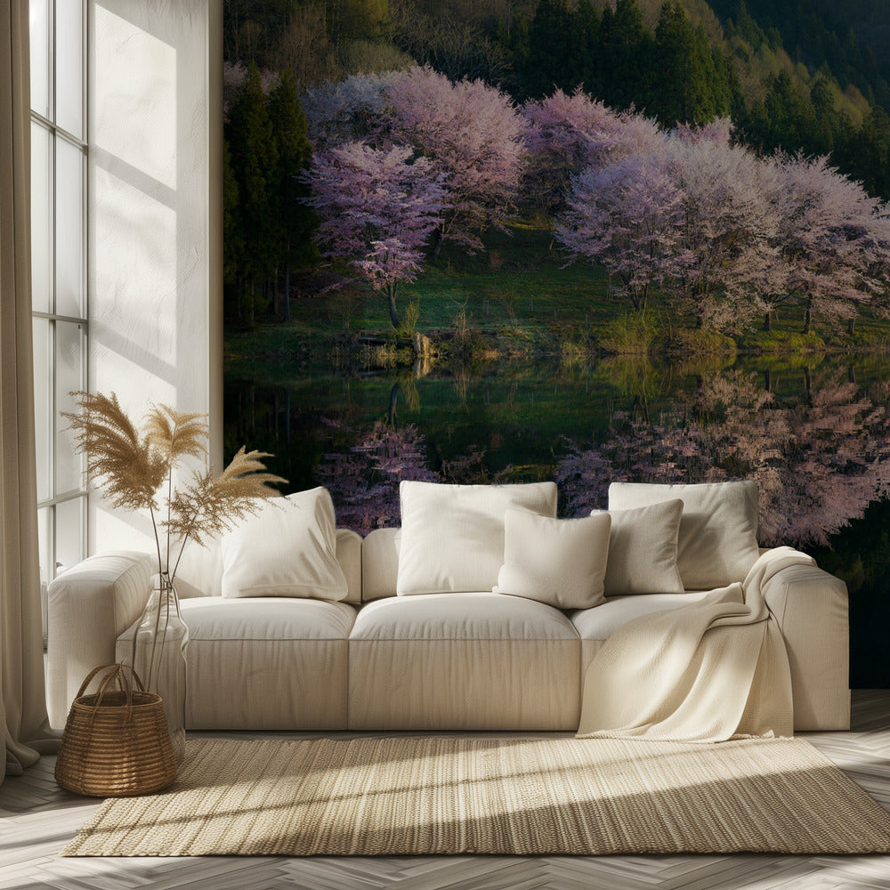 Sakura | Fotobehang