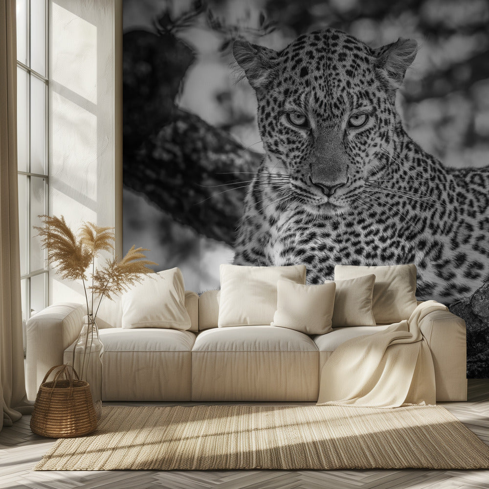 Monochrome schoonheid | Fotobehang