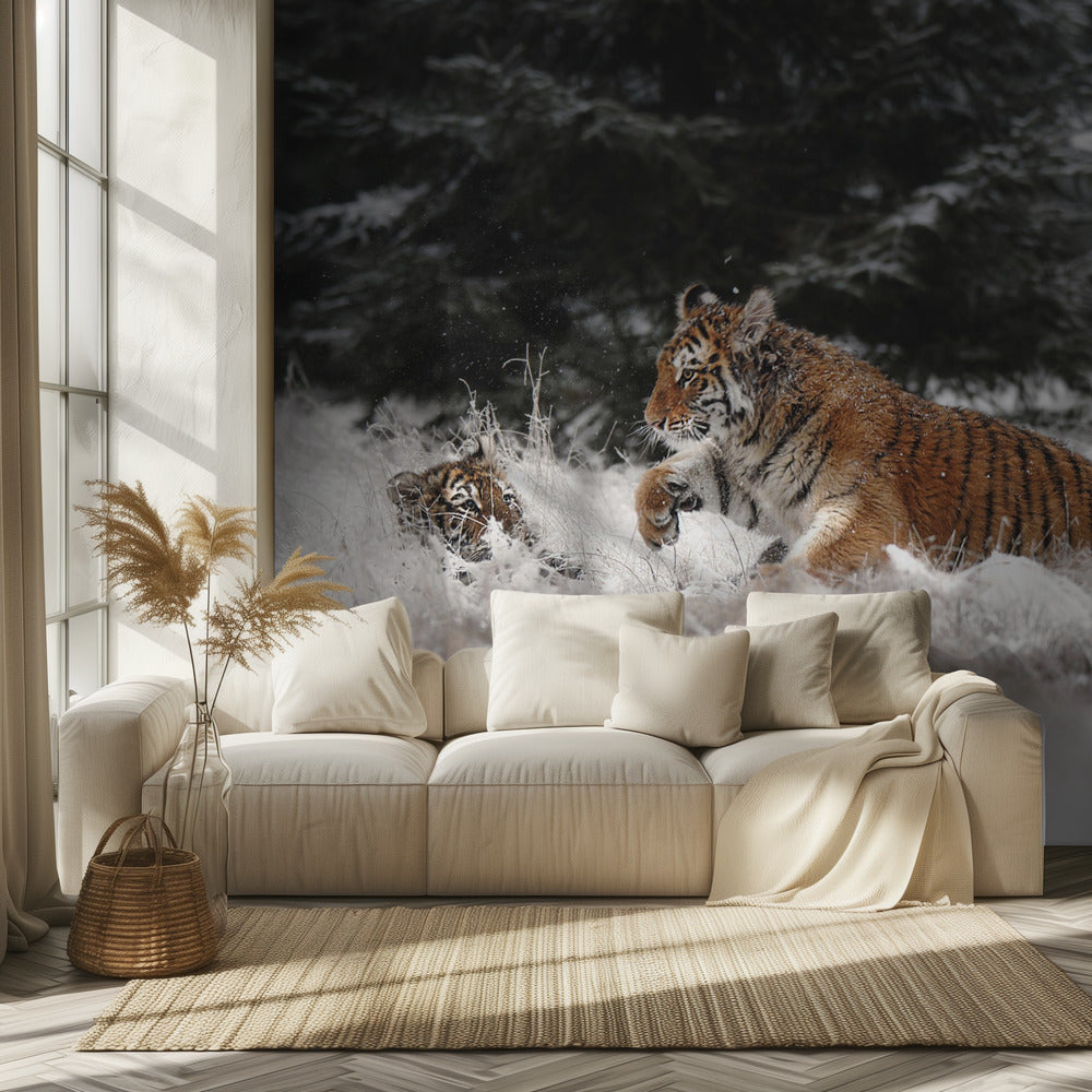 Joy on the snow | Wallpaper