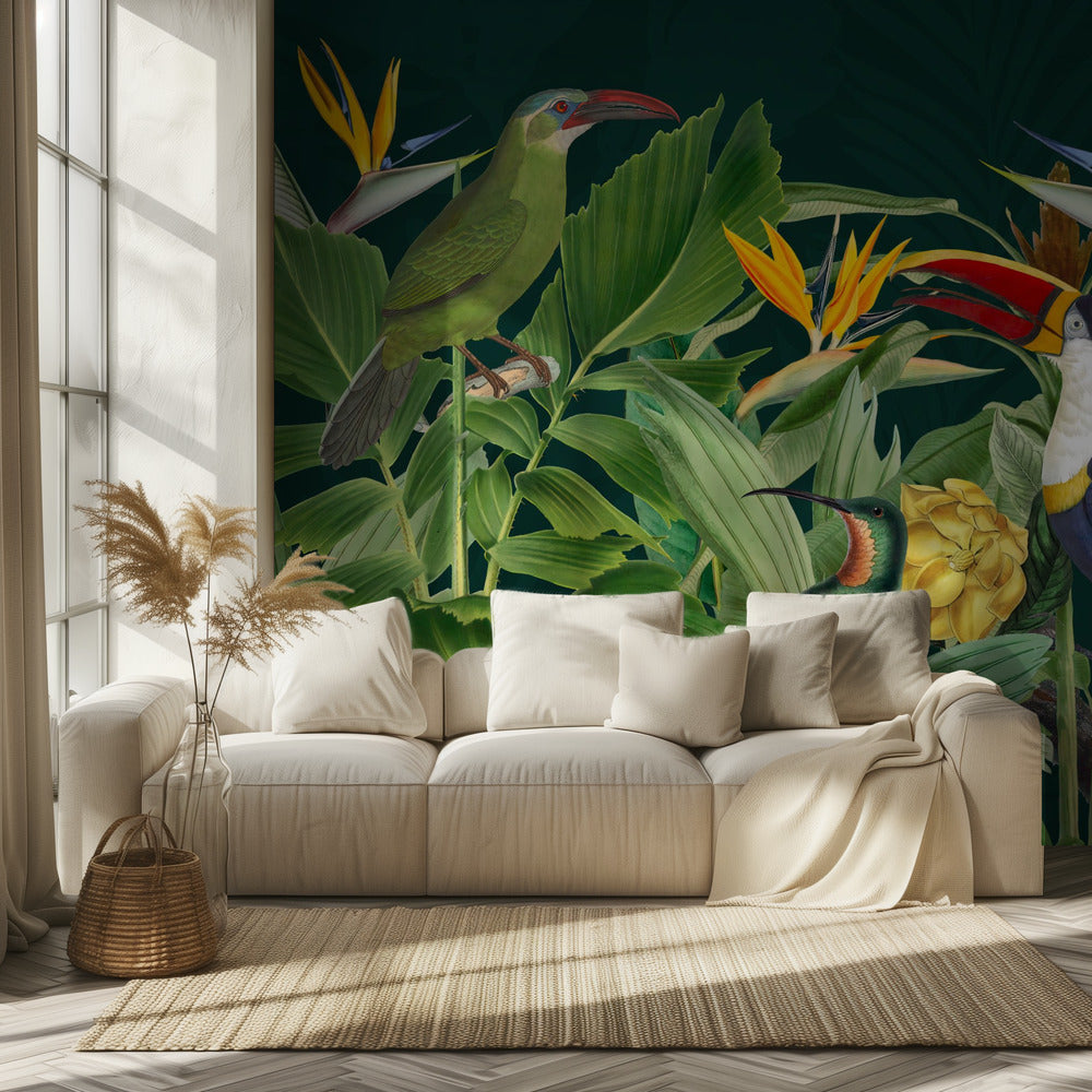 Oiseaux de la forêt tropicale | Papier Peint Photo