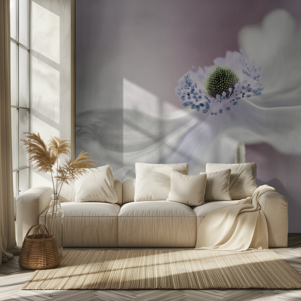 Anemonebrise | Fototapeter