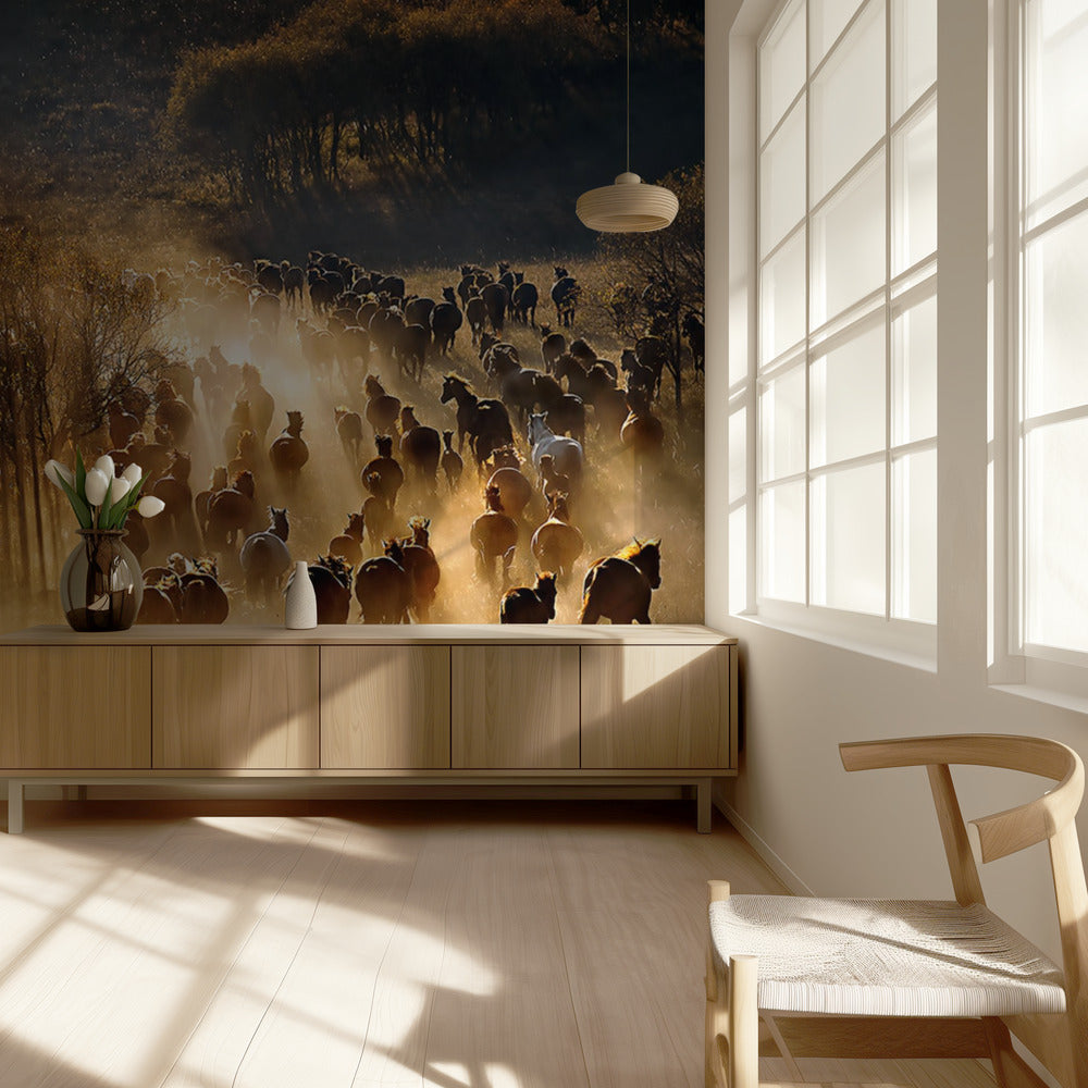Paarden | Fotobehang