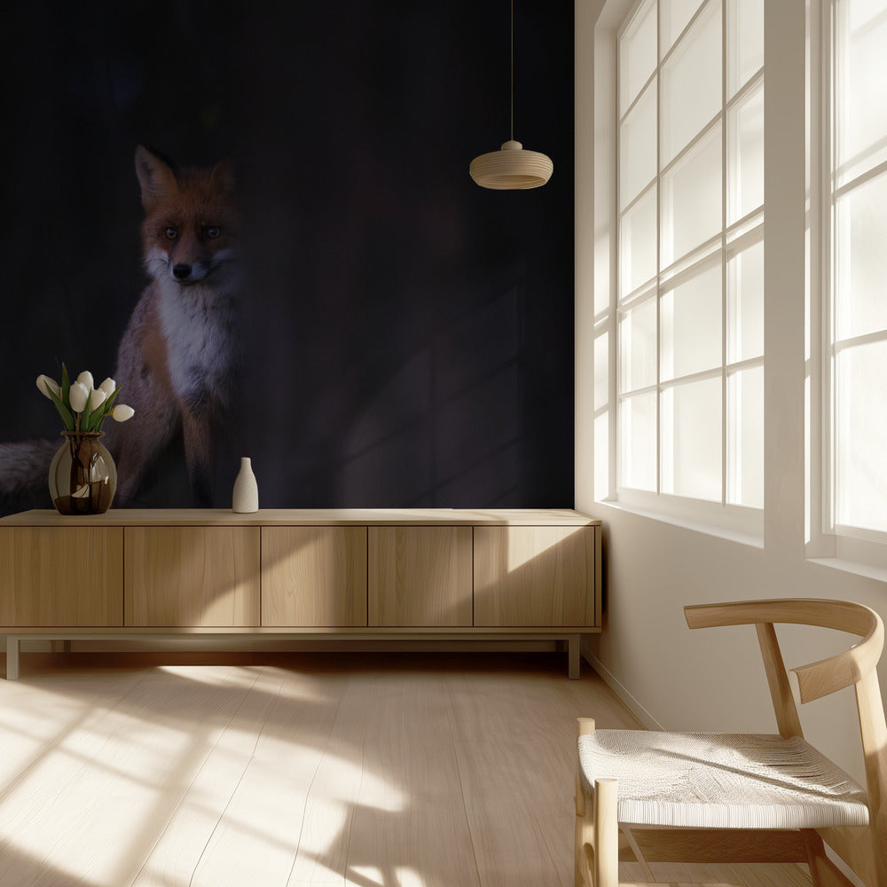 Blickar | Fototapet