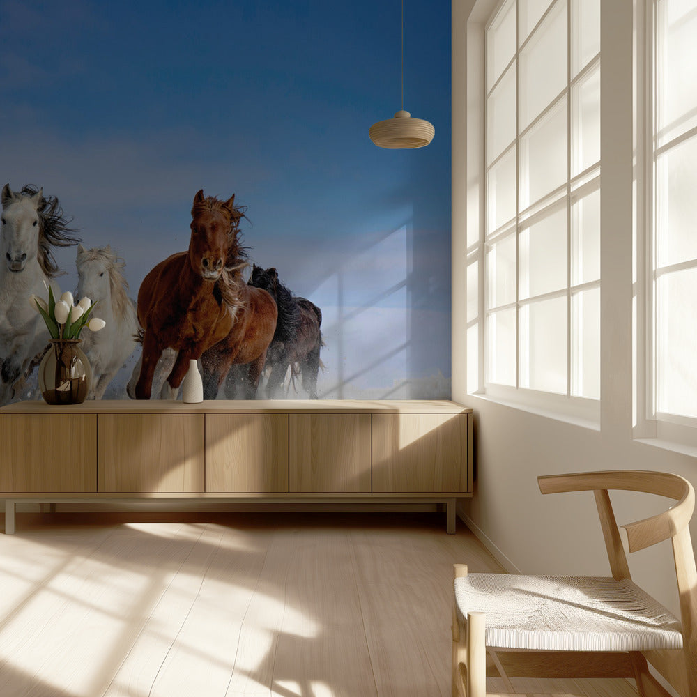 Chevaux de Mongolie | Papier Peint Photo