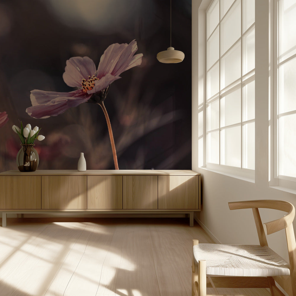 Fleurs d'innocence | Papier Peint Photo