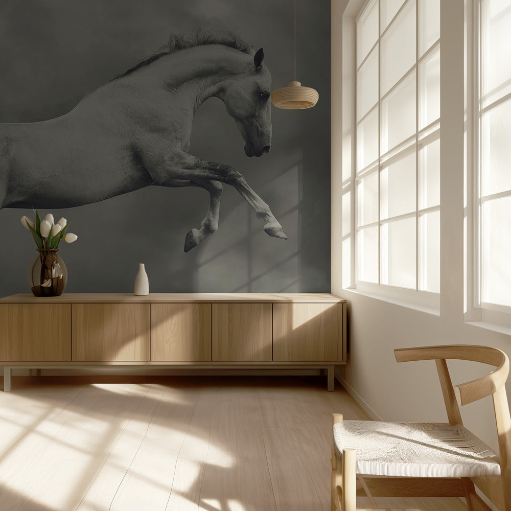 parical | Fotobehang