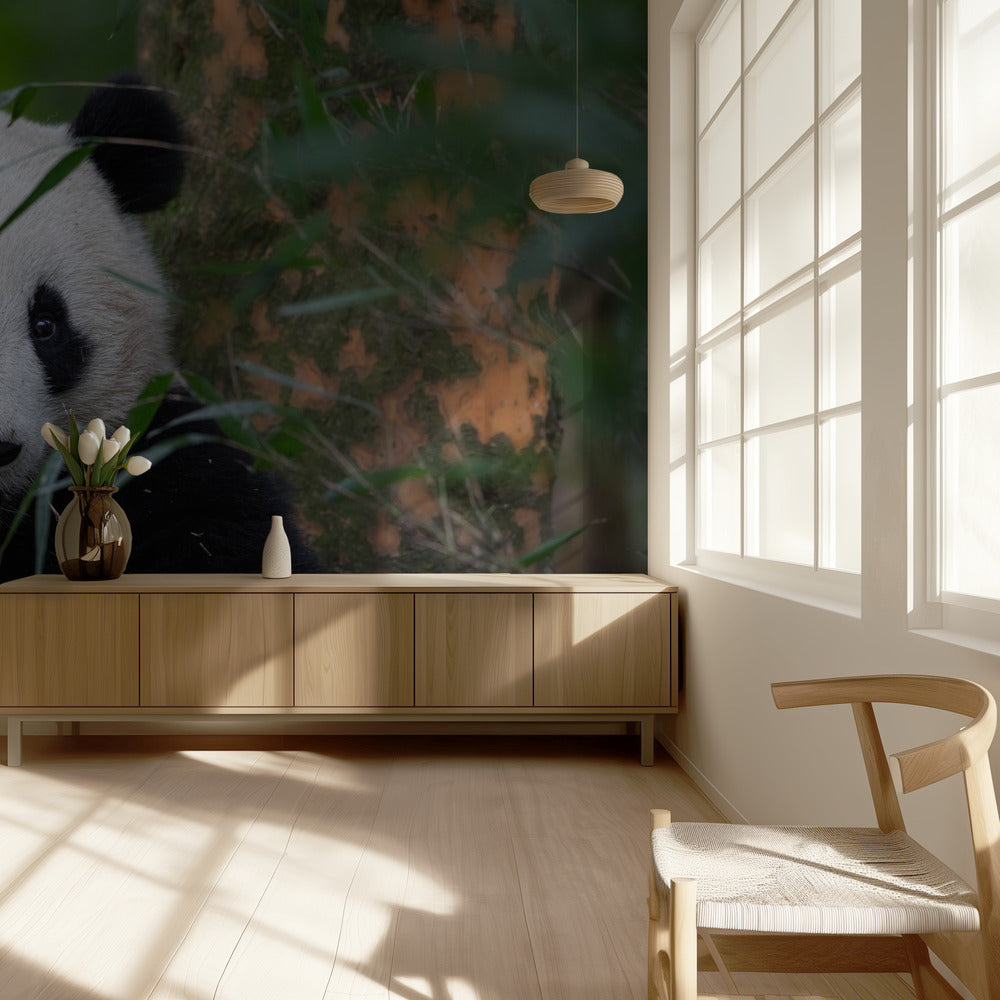 L'heure du bambou | Papier Peint Photo