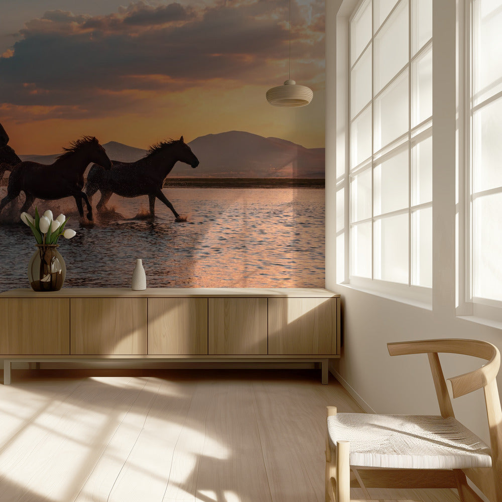 WATERPAARDEN | Fotobehang