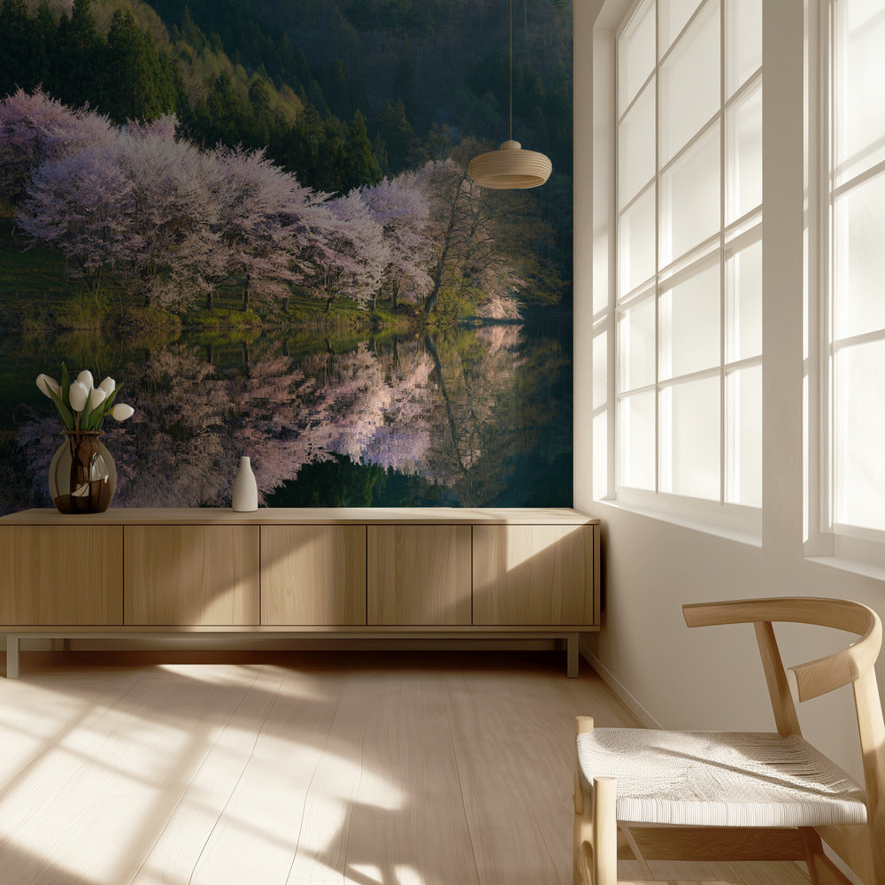 Sakura | Fotobehang