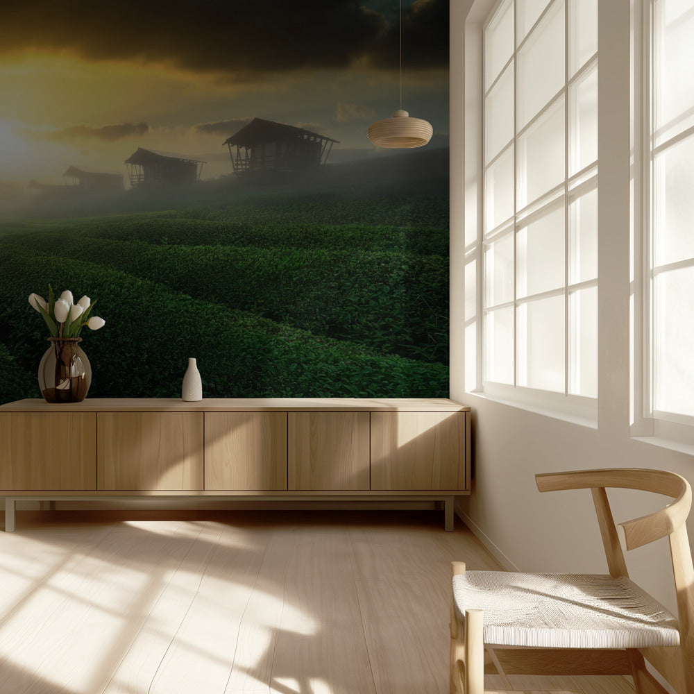 lever de soleil brumeux dans un jardin de thé | Papier Peint Photo
