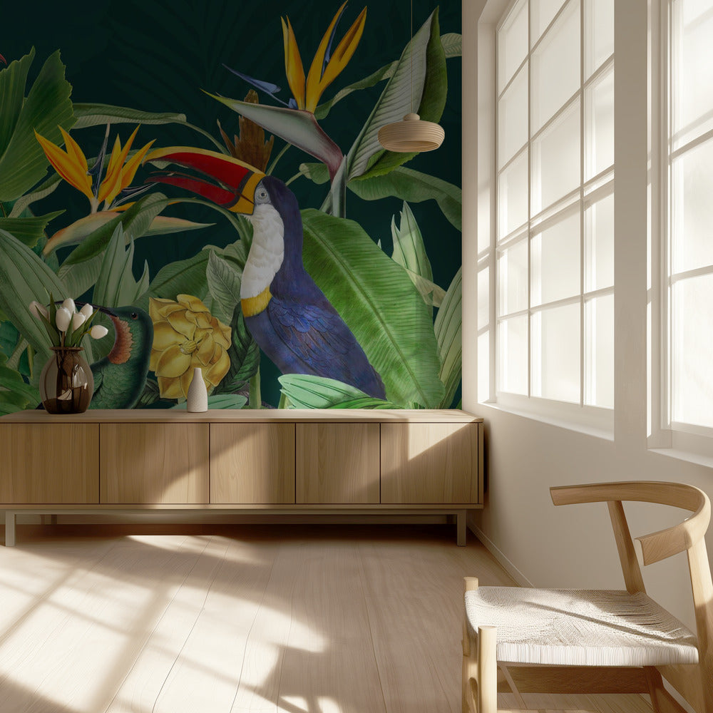 Oiseaux de la forêt tropicale | Papier Peint Photo