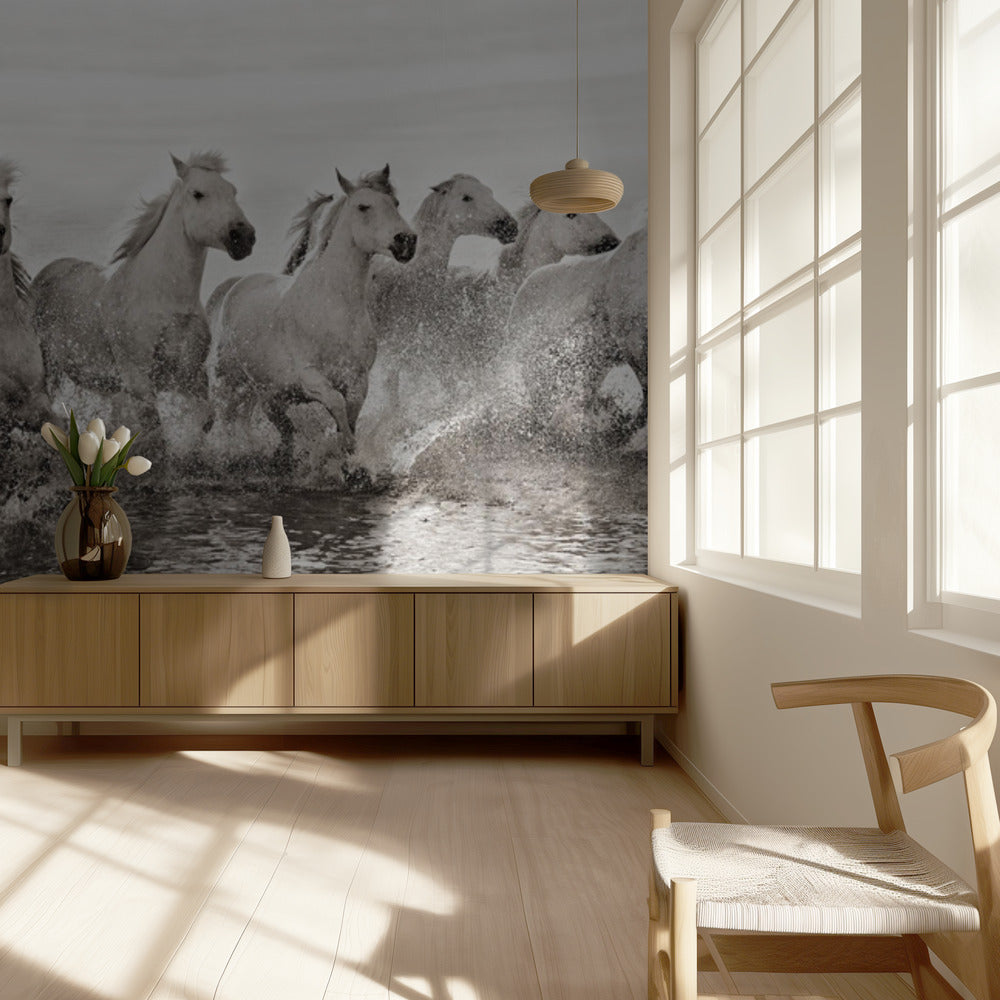 Illusion de puissance (13 chevaux quand même) | Papier Peint Photo