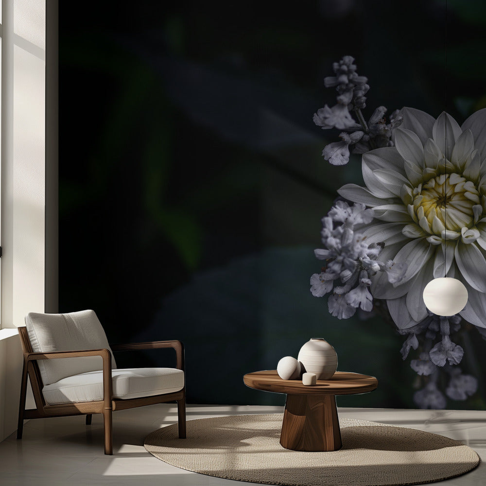Georgineblomst | Fototapeter