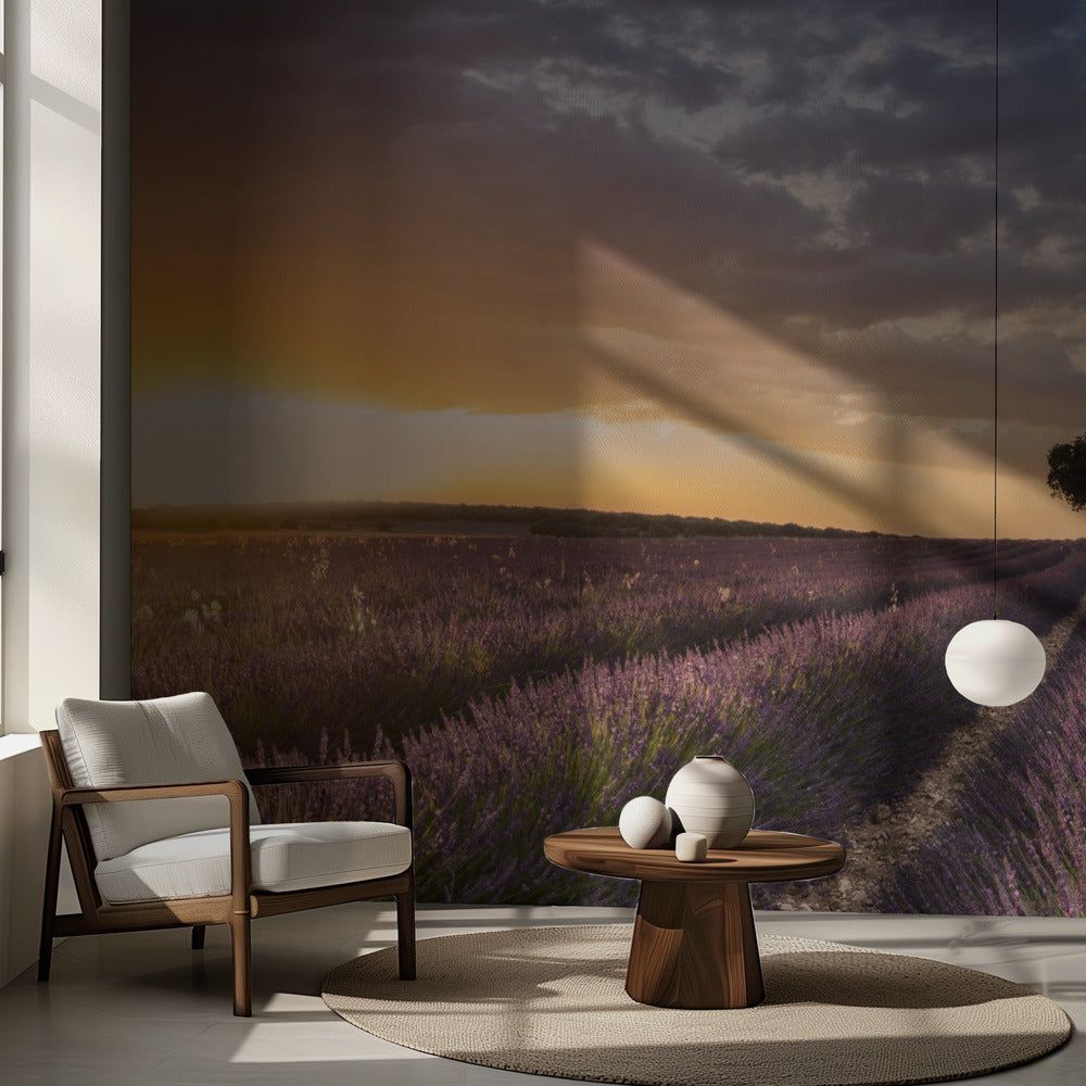 DESTINATION LAVENDEL | Fototapeter