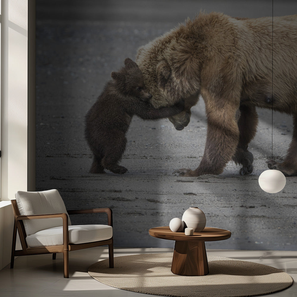 Un piccolo abbraccio d'orso | Carta da Parati Fotografica