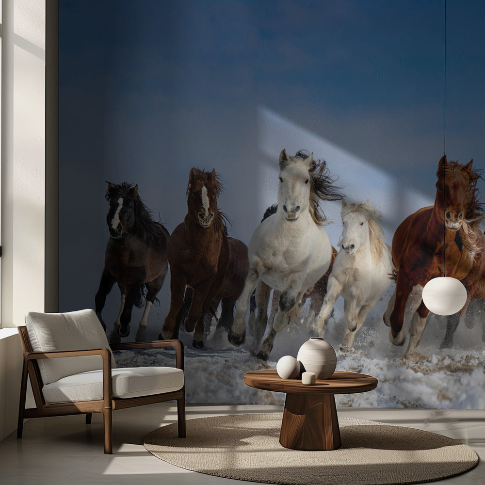 Chevaux de Mongolie | Papier Peint Photo