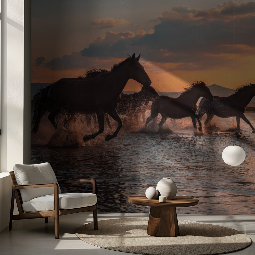 WATERPAARDEN | Fotobehang