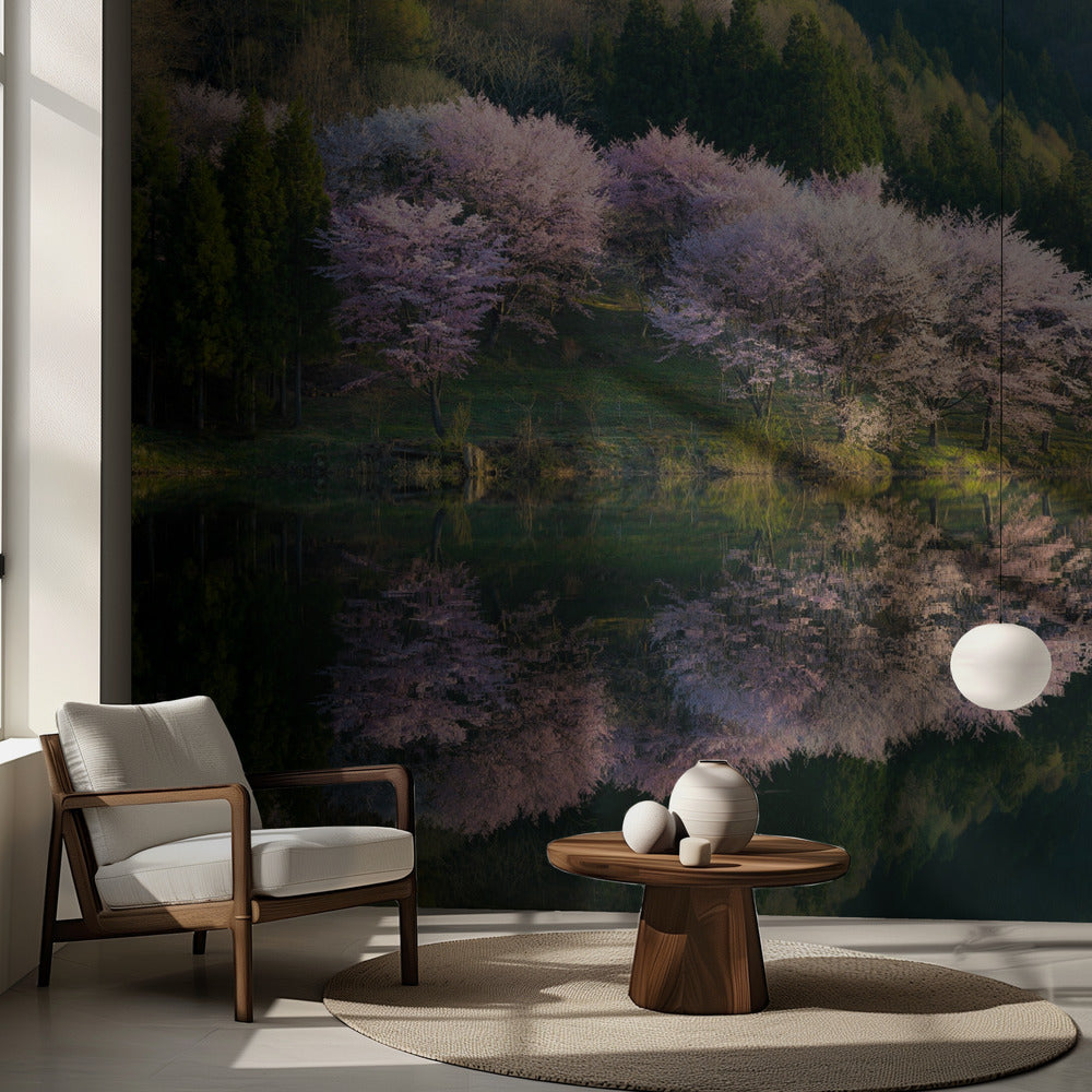 Sakura | Fotobehang