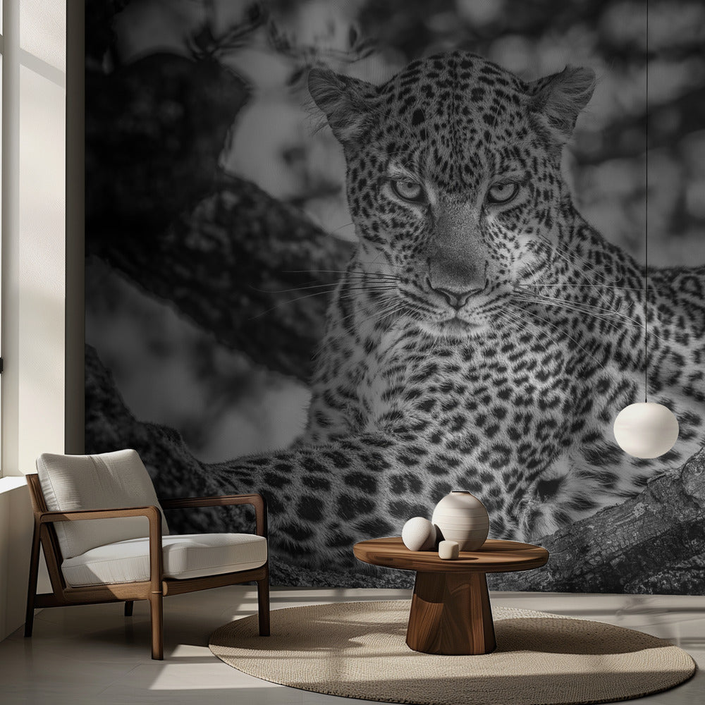 Monochrome schoonheid | Fotobehang