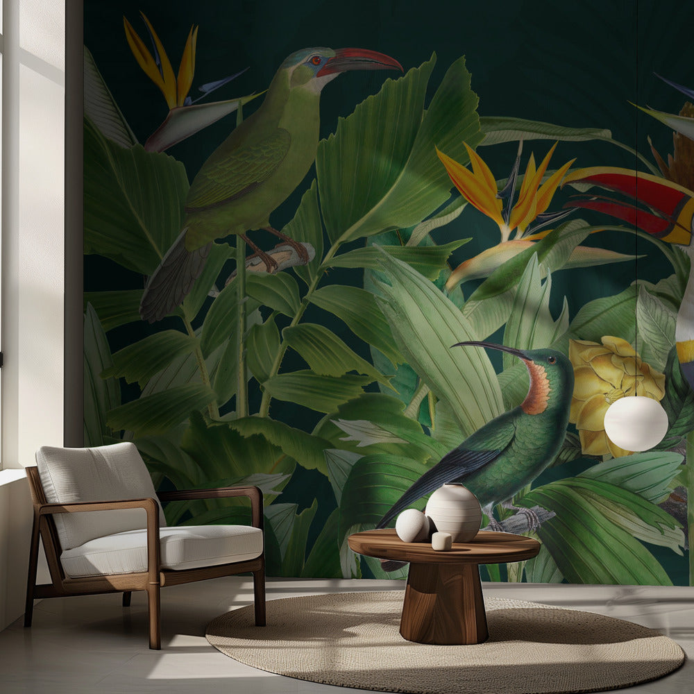 Oiseaux de la forêt tropicale | Papier Peint Photo