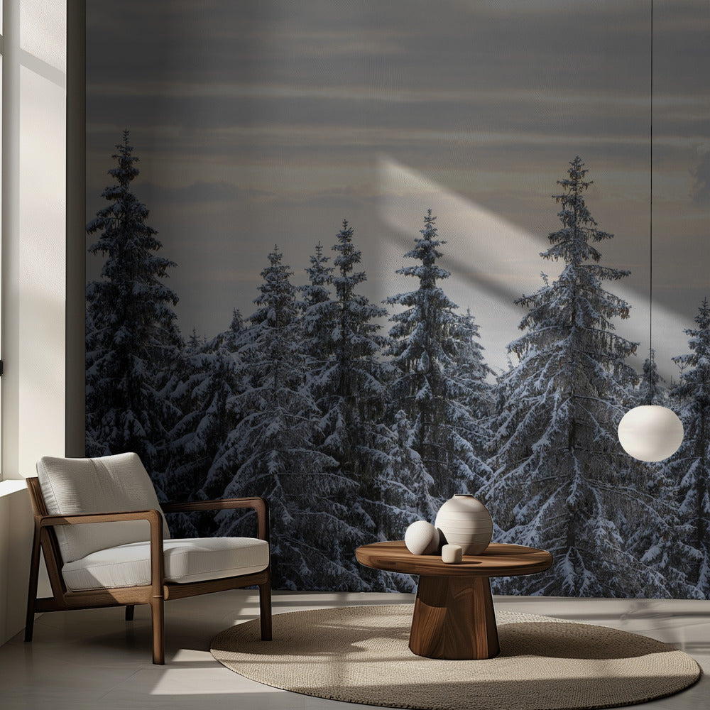 Met sneeuw bedekte bomen 8 | Fotobehang