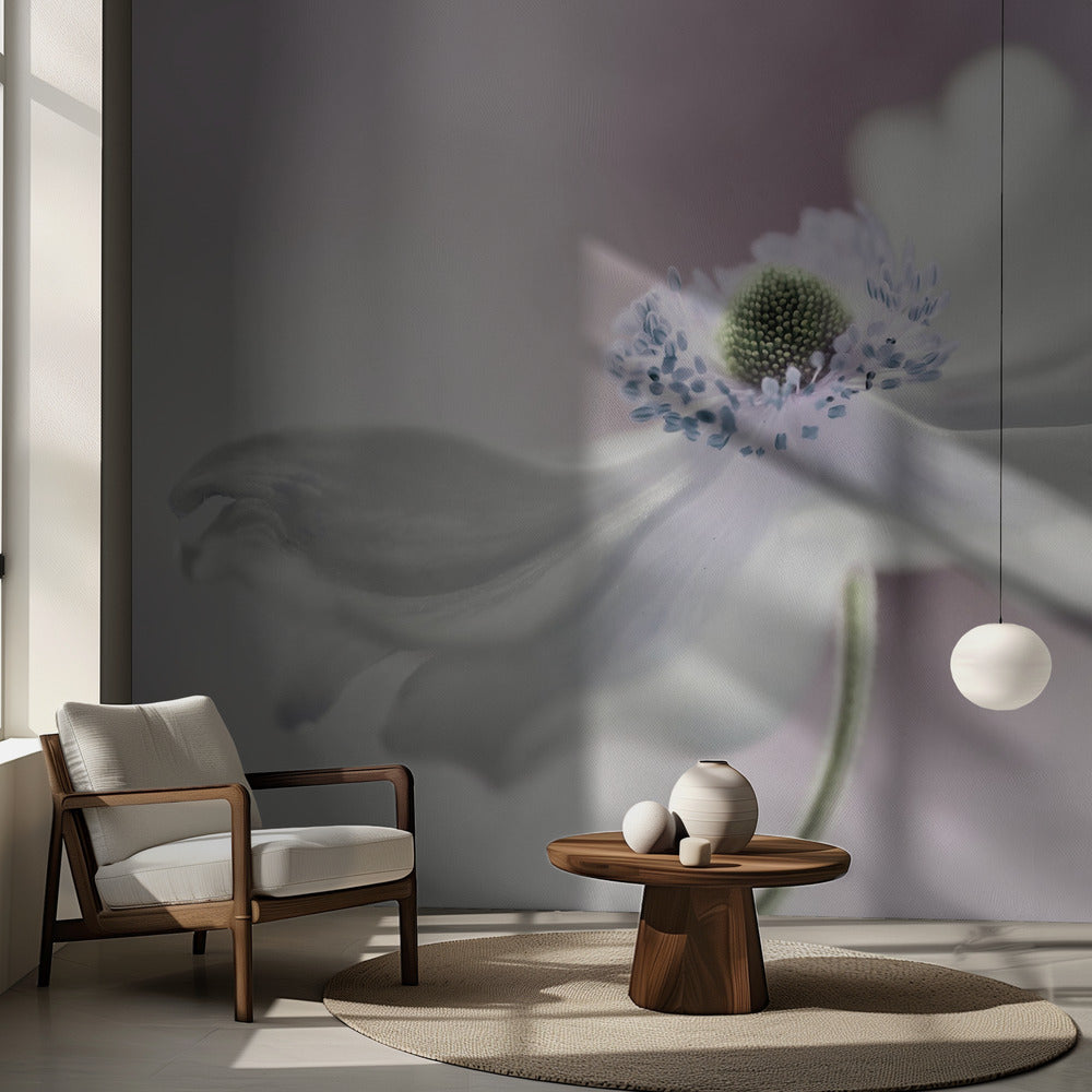 Anemonebrise | Fototapeter
