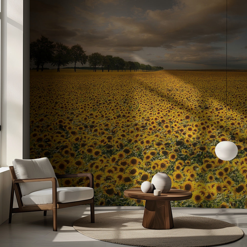 Tournesols | Papier Peint Photo