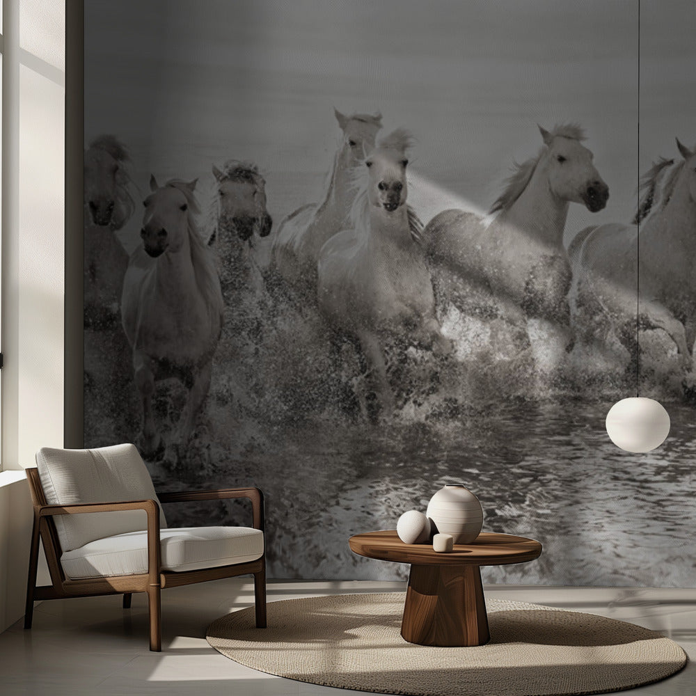 Illusion de puissance (13 chevaux quand même) | Papier Peint Photo