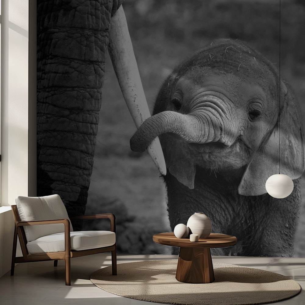 Cerrar | Papel Pintado Fotográfico